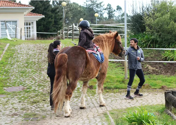 Patio Do Avo * Routar